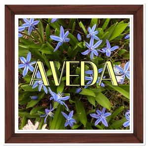 AVEDA Products